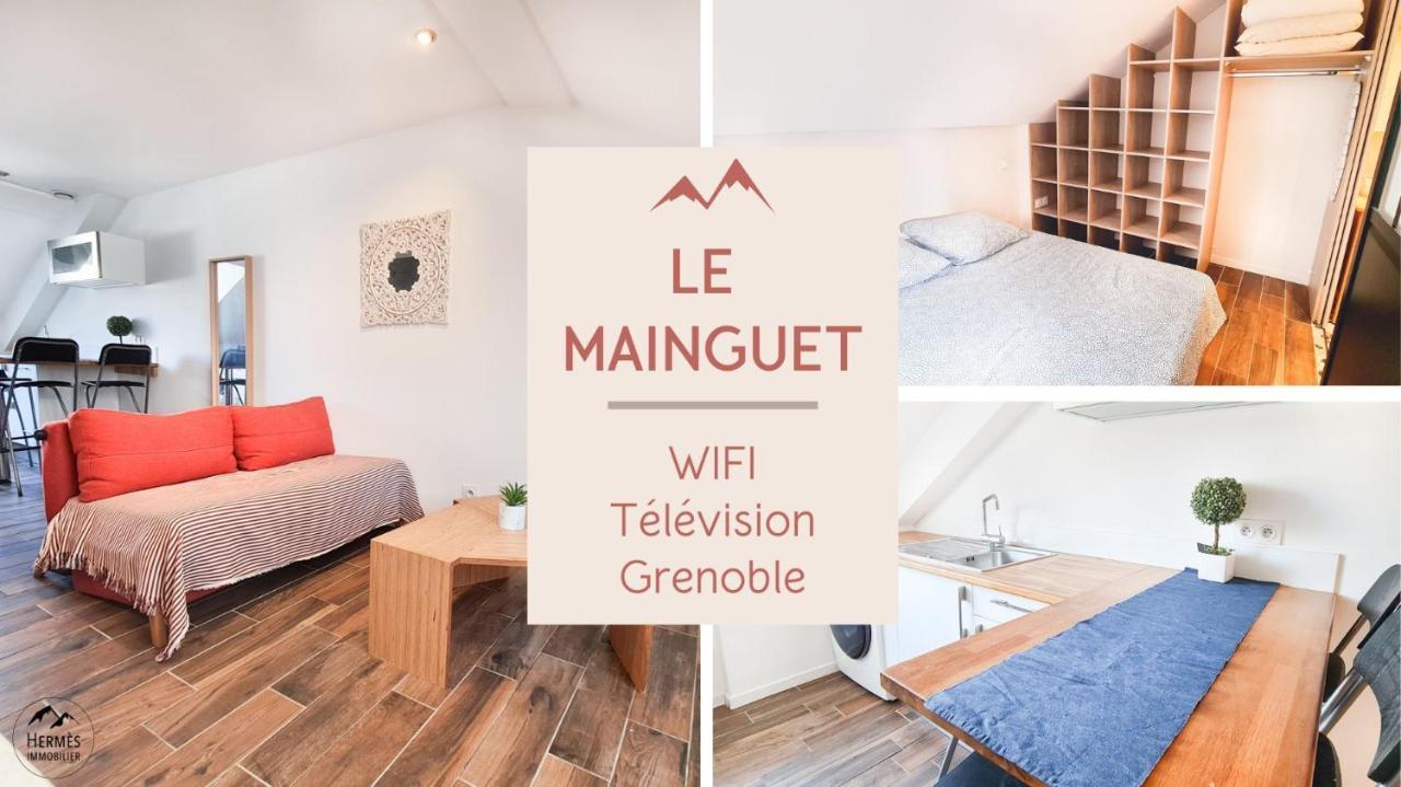 Le Mainguet - Appartement Cosy - Grenoble Eksteriør bilde